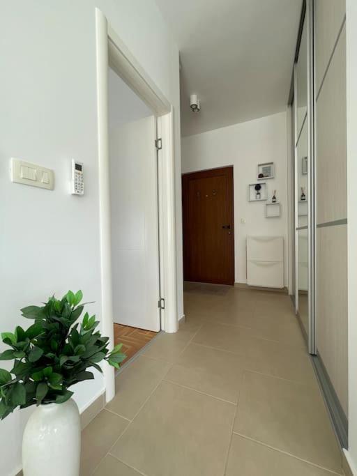Acacia Hill Apartments Χέρτσεγκ Νόβι Εξωτερικό φωτογραφία