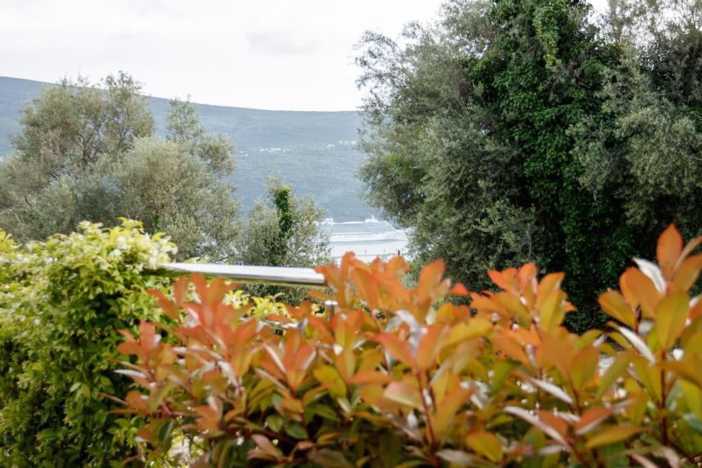 Acacia Hill Apartments Χέρτσεγκ Νόβι Εξωτερικό φωτογραφία