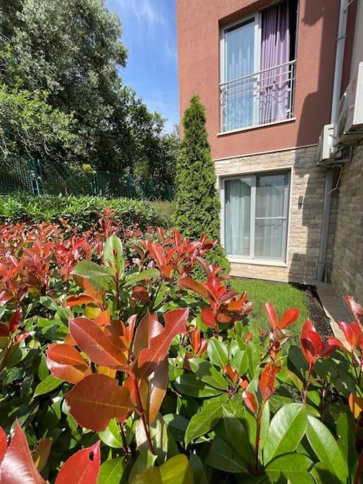 Acacia Hill Apartments Χέρτσεγκ Νόβι Εξωτερικό φωτογραφία